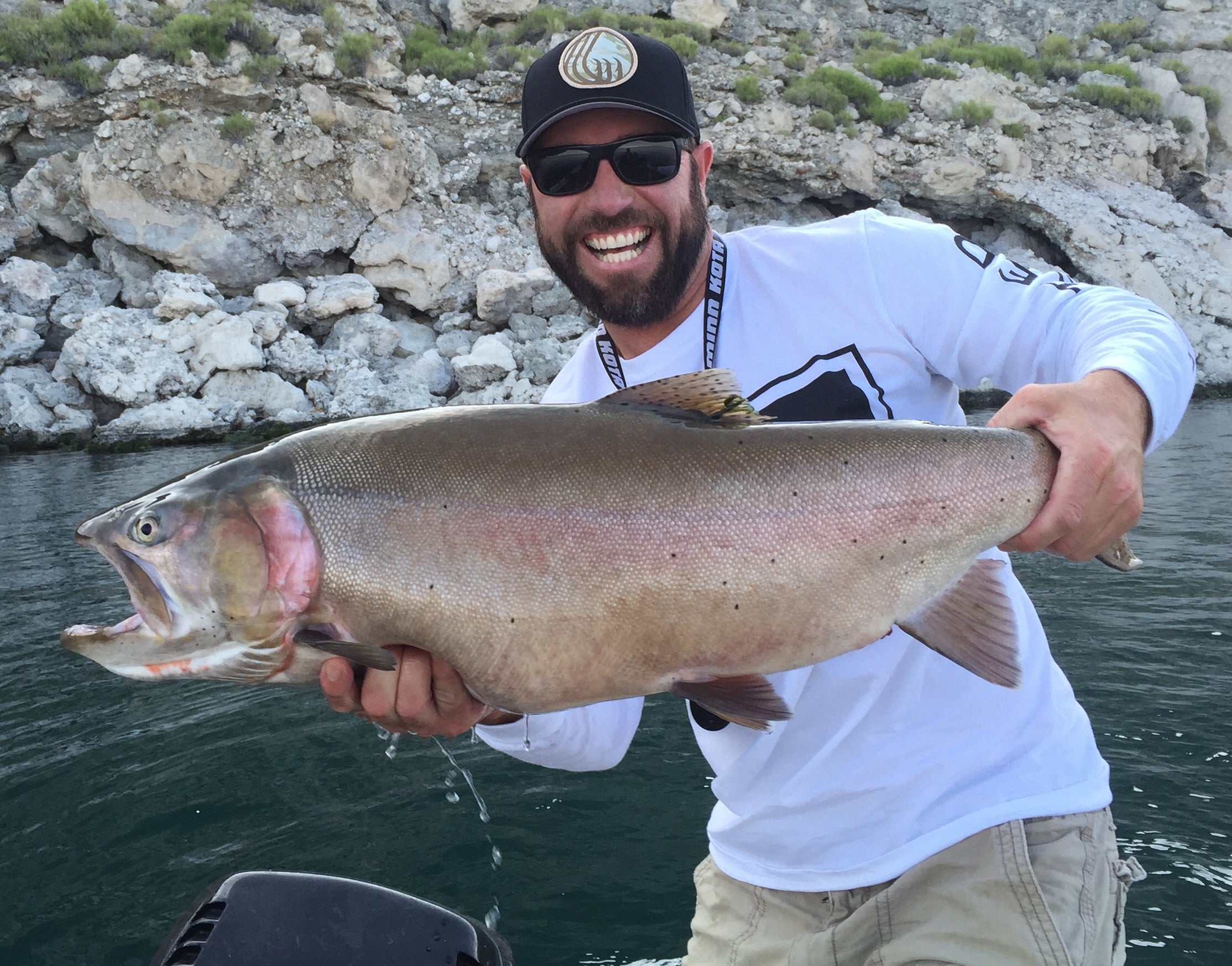 Choosing the Correct Bait Color