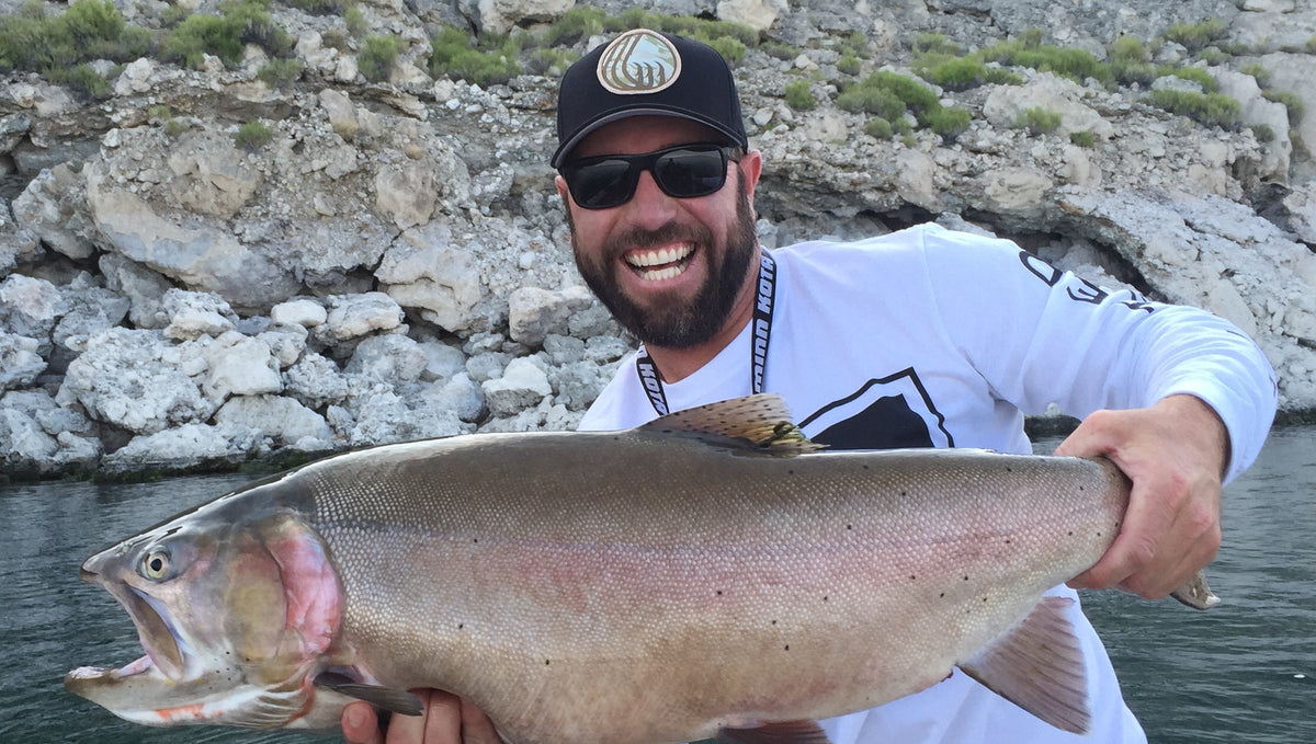 Choosing the Correct Bait Color