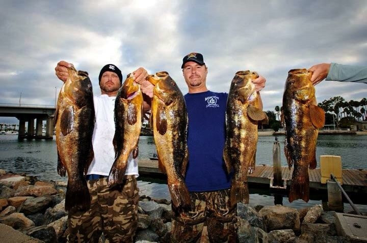 PCH Custom Inshore Rods