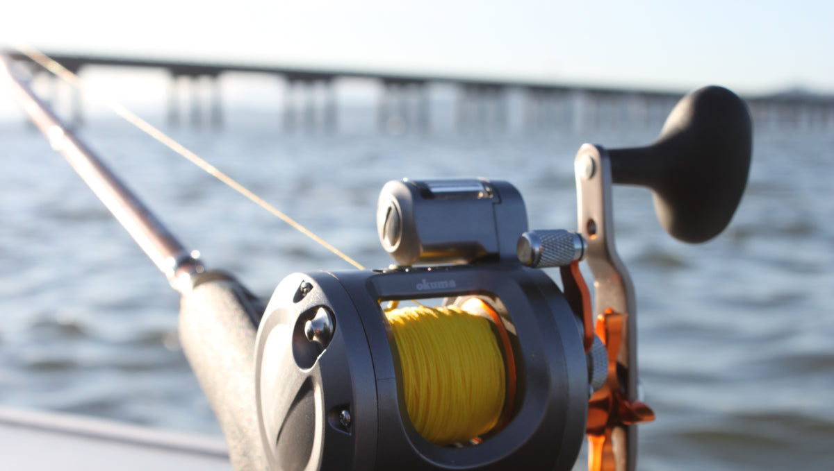Tried and True | The Okuma Cold Water Family of Line Counter Reels