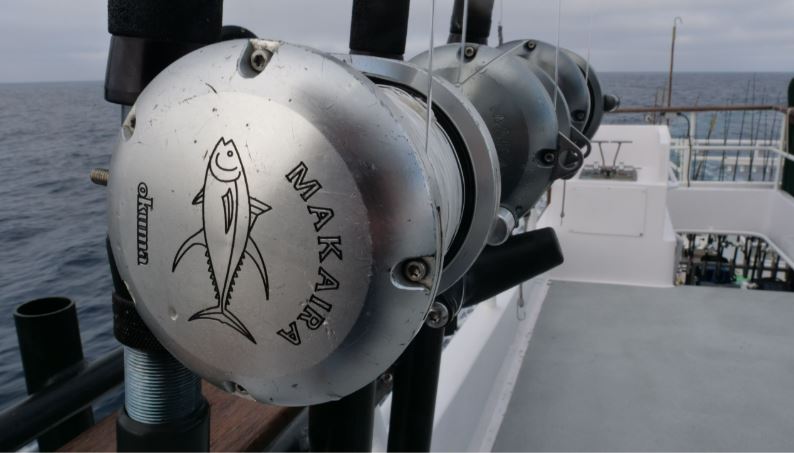 2 speed reels fishing Penn International 70VIS 2-Speed Conventional Reel, Gold performance Speedmaster II Shimano TLD50IILRSA TLD Shark Combo