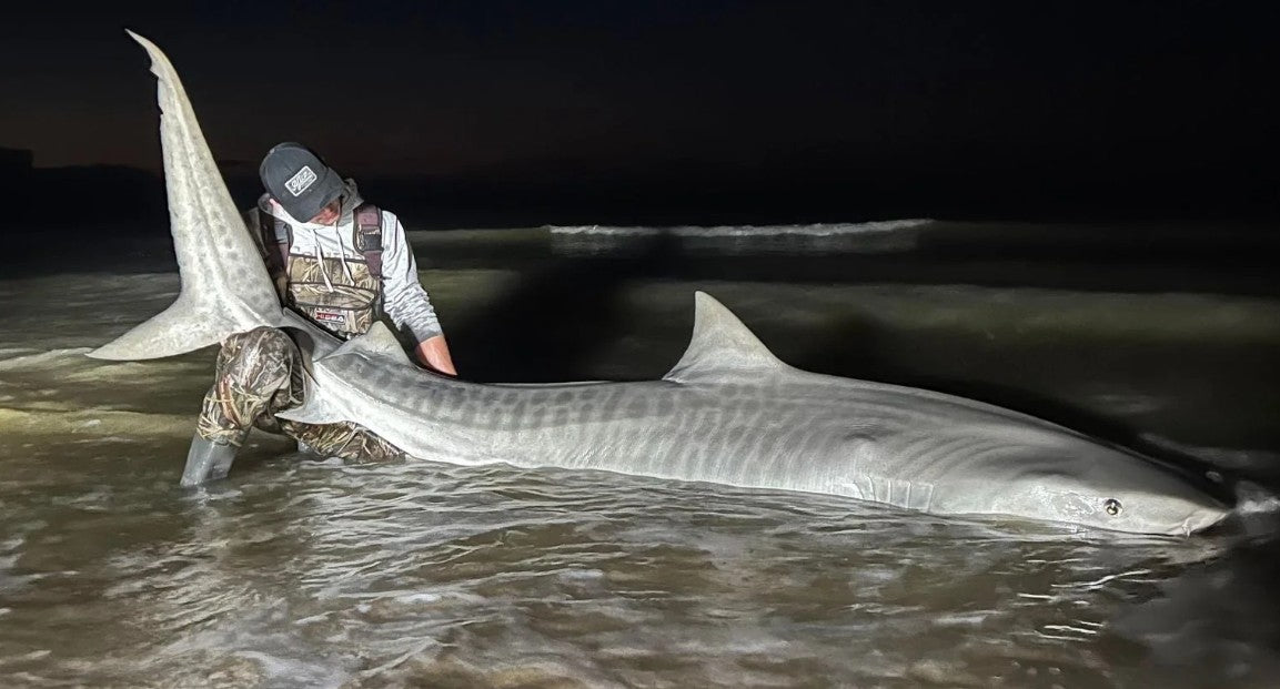 Choosing the Right Reel for Land Based Shark Fishing