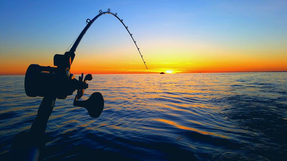 Late Summer & Fall Salmon Trolling on the Great Lakes: Gear, Rigs, and Proven Tactics