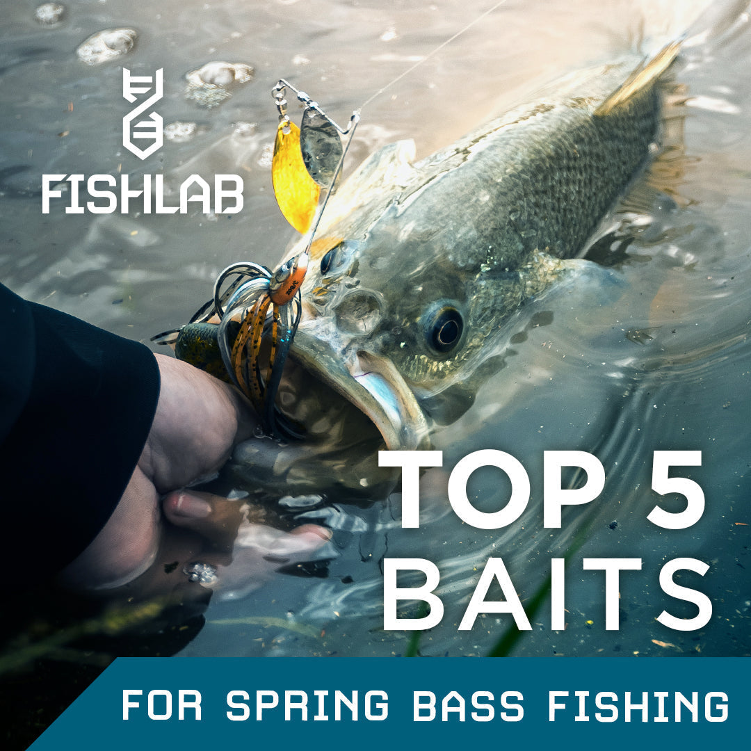 Top 5 Baits for Spring Bass Fishing - FishLab