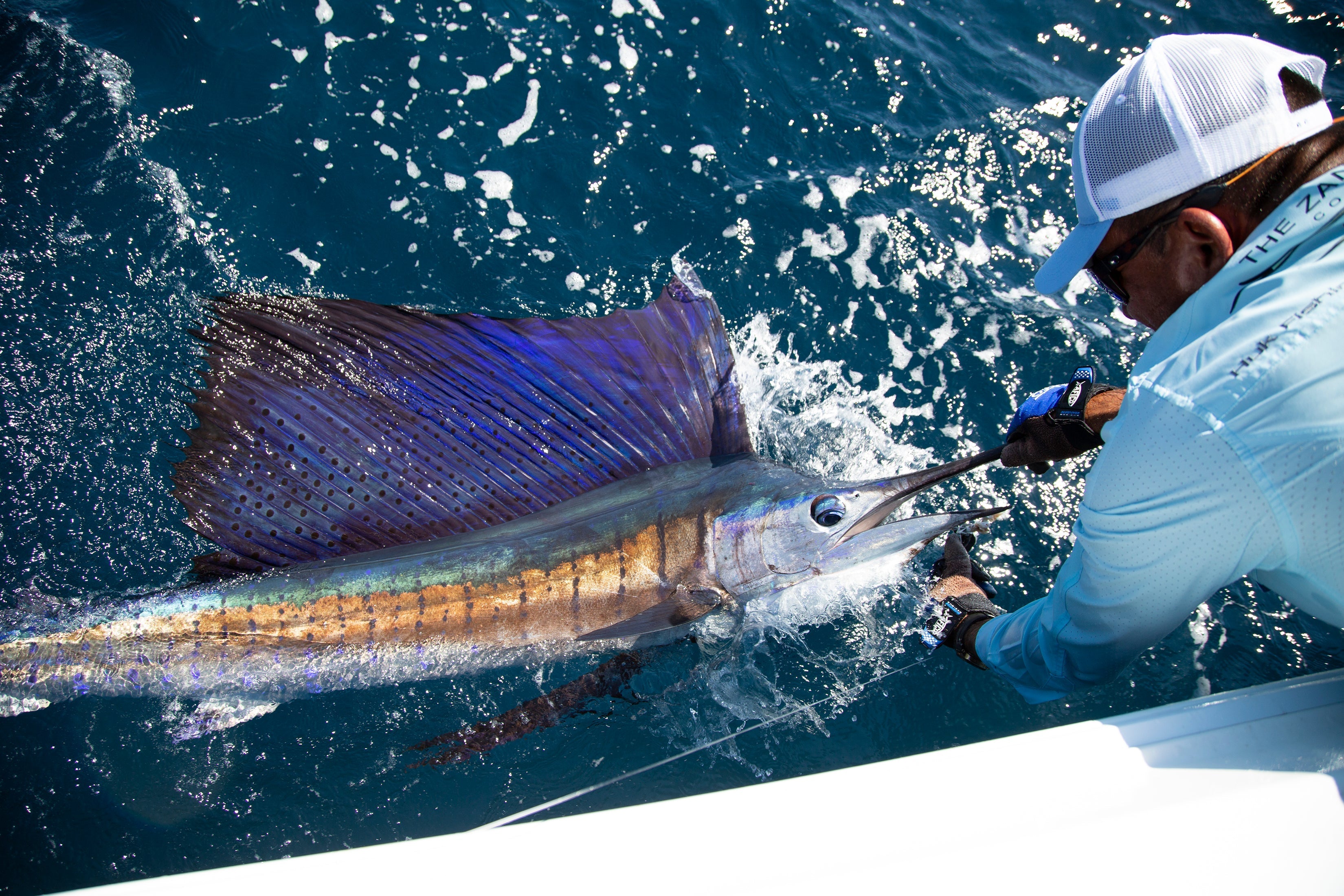 Chasing Sailfish in Florida: Gear, Techniques & Tips for Success - Okuma Fishing Tackle Corp