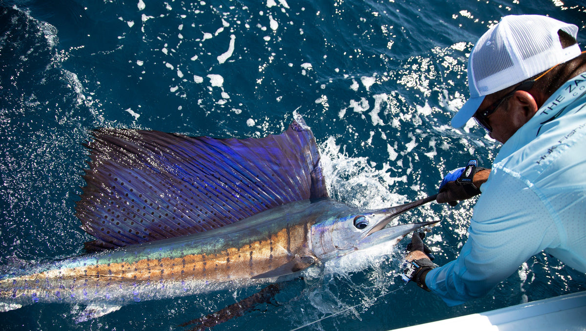 Chasing Sailfish in Florida: Gear, Techniques & Tips for Success