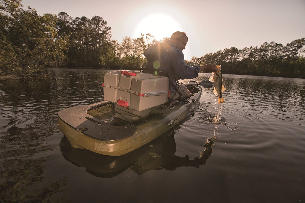 Fall Shad Migration: Master the Bite with FishLab Tackle - FishLab