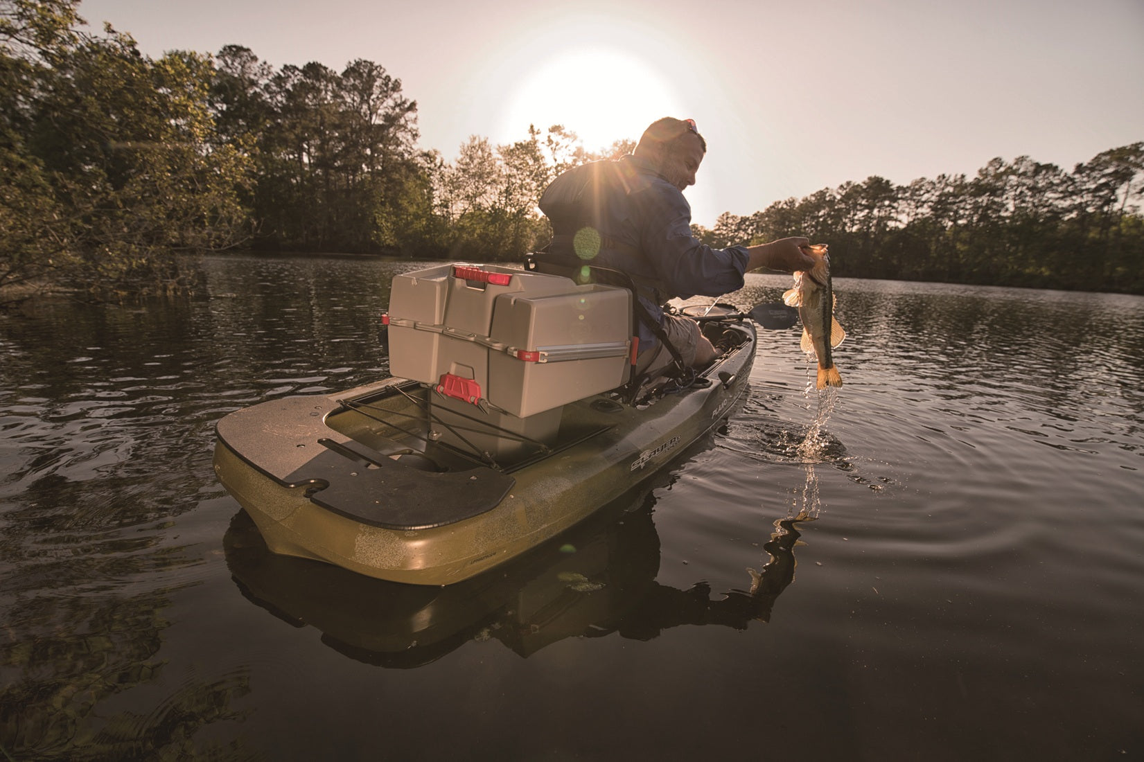 Fall Shad Migration: Master the Bite with FishLab Tackle - FishLab
