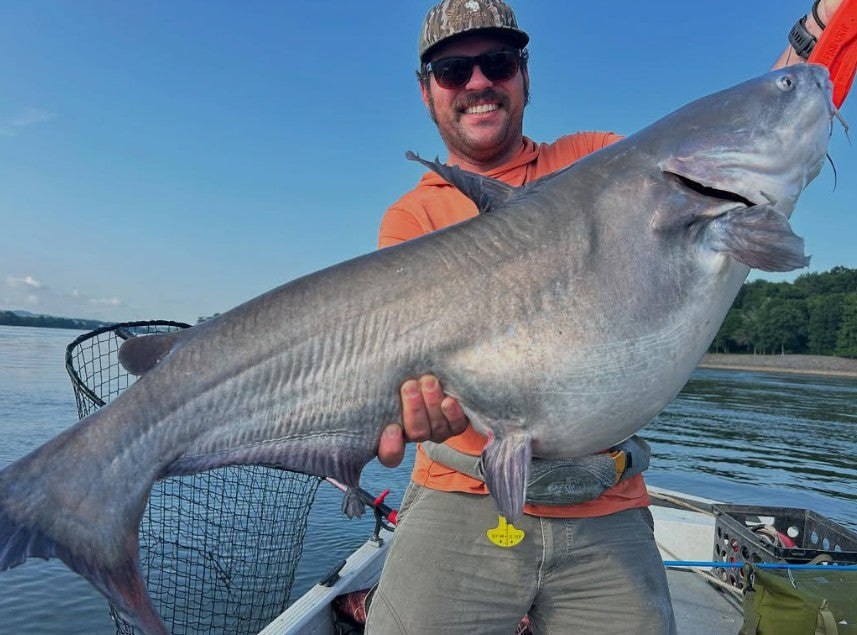 Unlocking the Bite: Fishing for Catfish with a Baitfeeder Style Reel