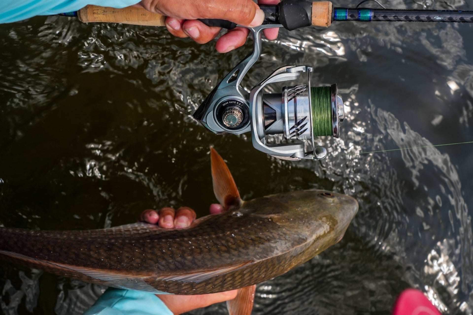 lews vs shimano spinning reels Lew's Custom Lite 100 Reel Color:Fish Camo Black Genuine NZ Pounamu Greenstone Jewellery Lew's Cat Smash Spinning With its 2