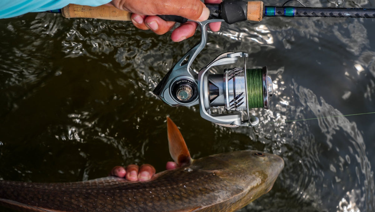 East Coast or West - Okuma Has You Covered on your Inshore Needs