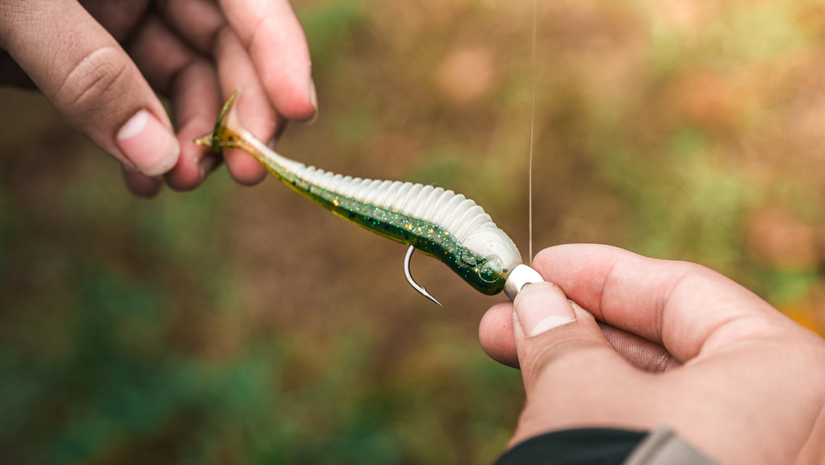 FISHLAB'S BASS SPAWN GUIDE
