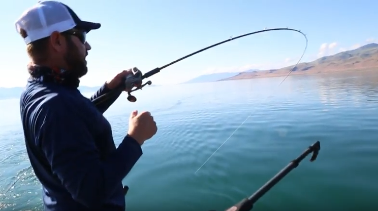 How to Troll With A Downrigger - Okuma Fishing Tackle Corp