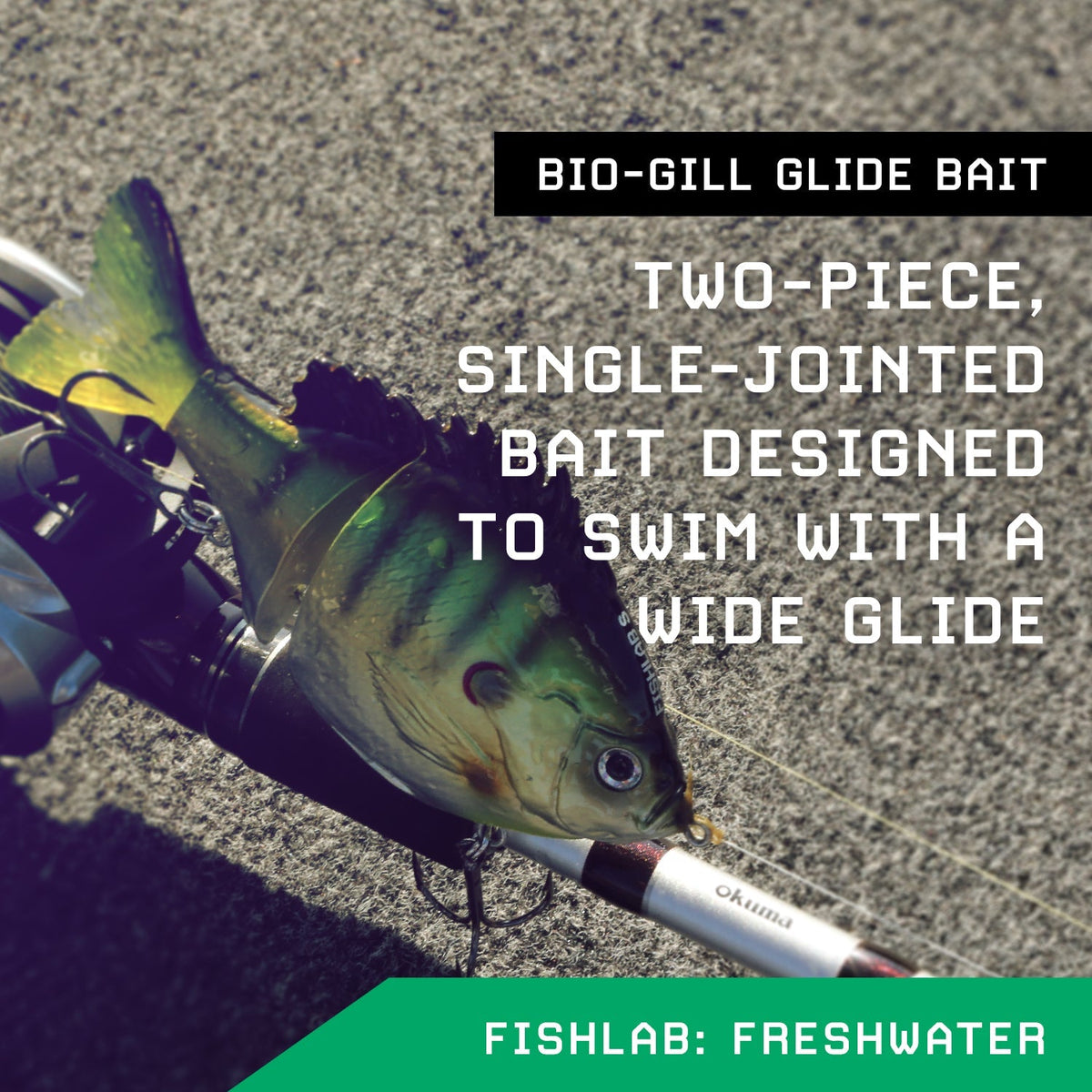 Have You Fished the Bio-Gill Swimbaits Yet? - FishLab