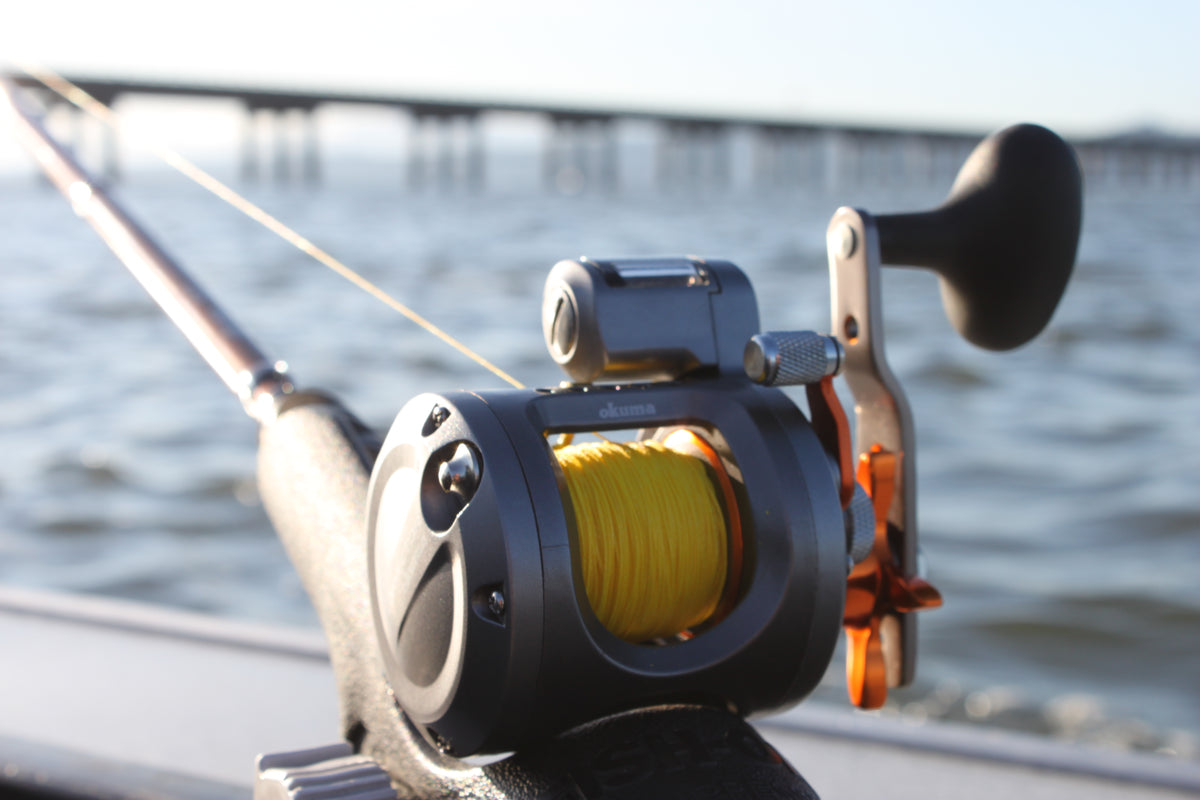 Tried and True | The Okuma Cold Water Family of Line Counter Reels - Okuma Fishing Tackle Corp