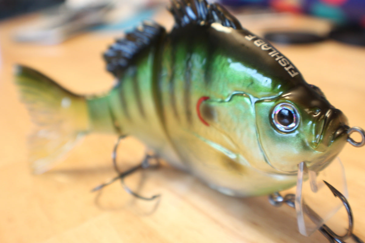 Fishing the Bio-Gill Swimbaits - FishLab