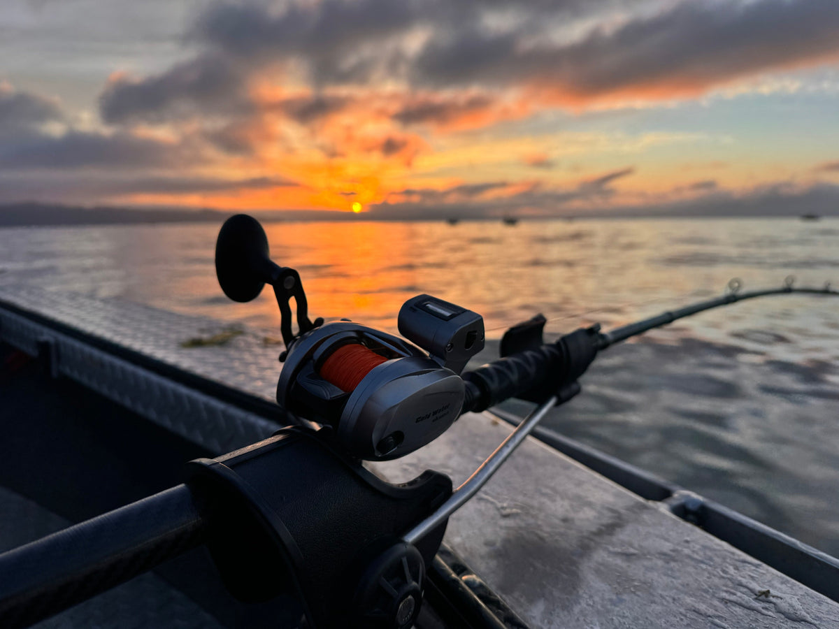 Salmon Trolling