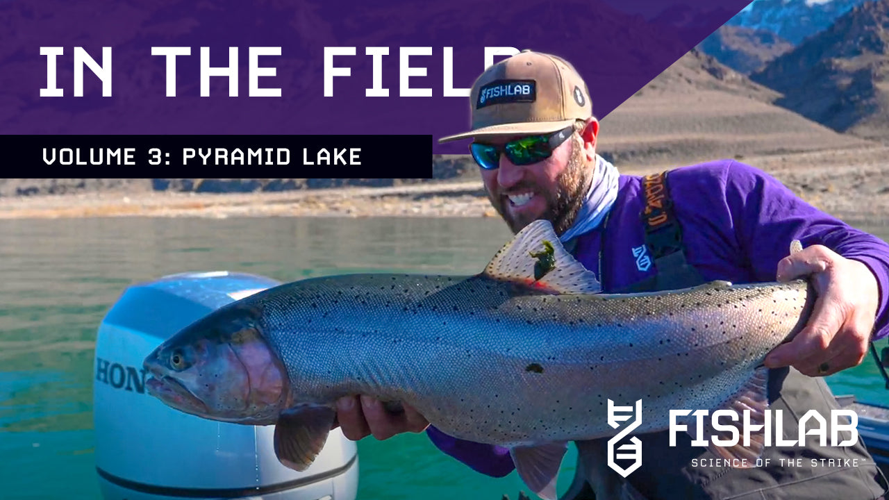 FishLab In-The-Field Episode 3 - Pyramid Lake - FishLab