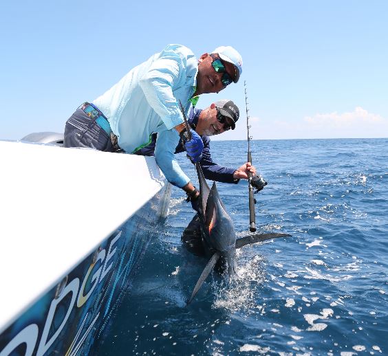 Okuma How-To: Rigging for Tuna and Sailfish - Okuma Fishing Tackle Corp