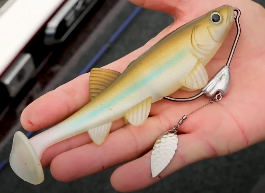 Match The Hatch - FishLab Baits - FishLab