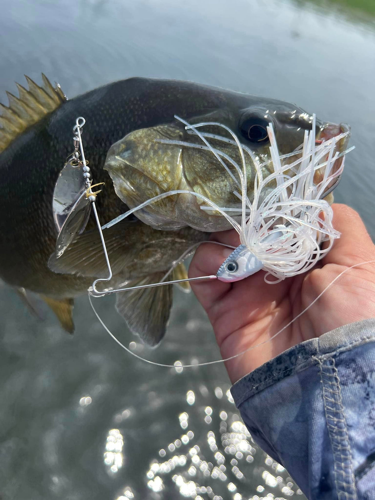 New FishLab Baits to Catch Largemouth Bass - FishLab