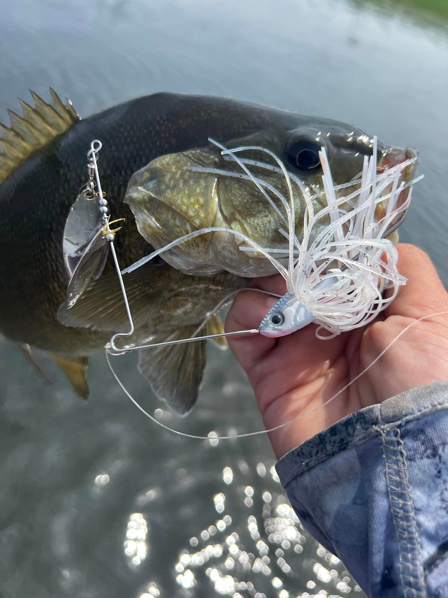 New FishLab Baits to Catch Largemouth Bass - FishLab