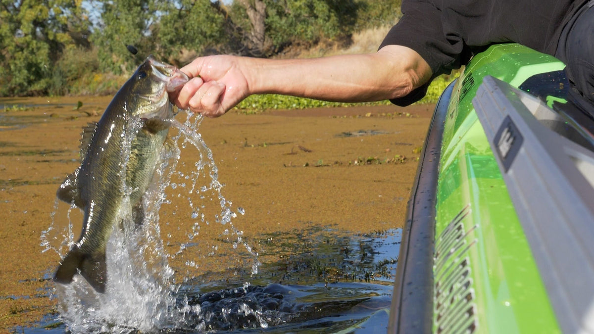 Froggin’ in the Heat: How to Fish the Rattle Toad Pro - FishLab