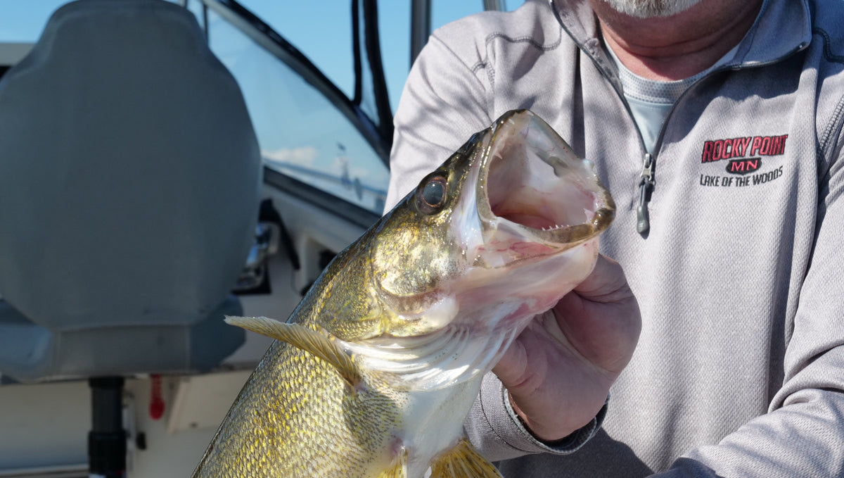 A Guide to Great Lakes Lead Core with Okuma Reels