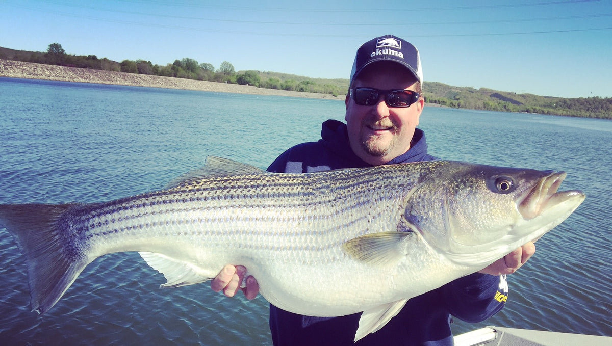 Fishing the Balloon Rig for Giant Striped Bass