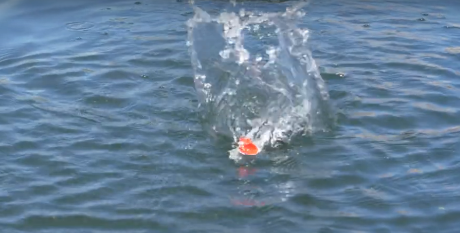 FishLab How To | Fishing the Popping Rattle Toad - FishLab