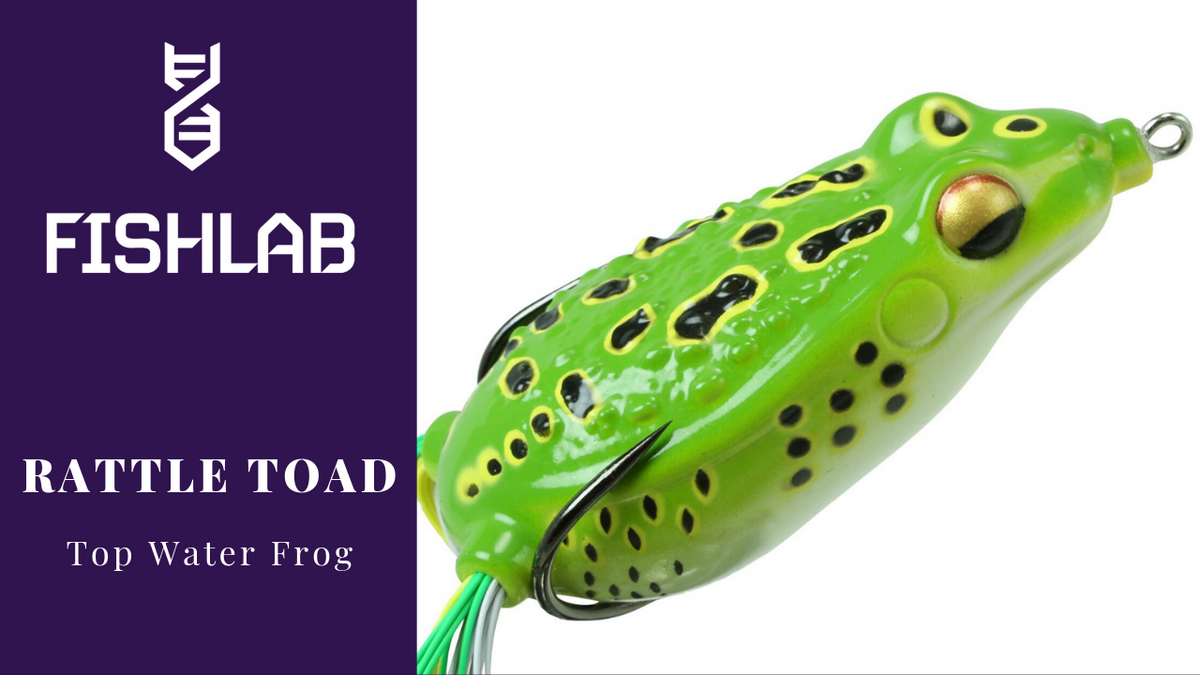 Rattle Toad by FishLab - A Hop Above - FishLab