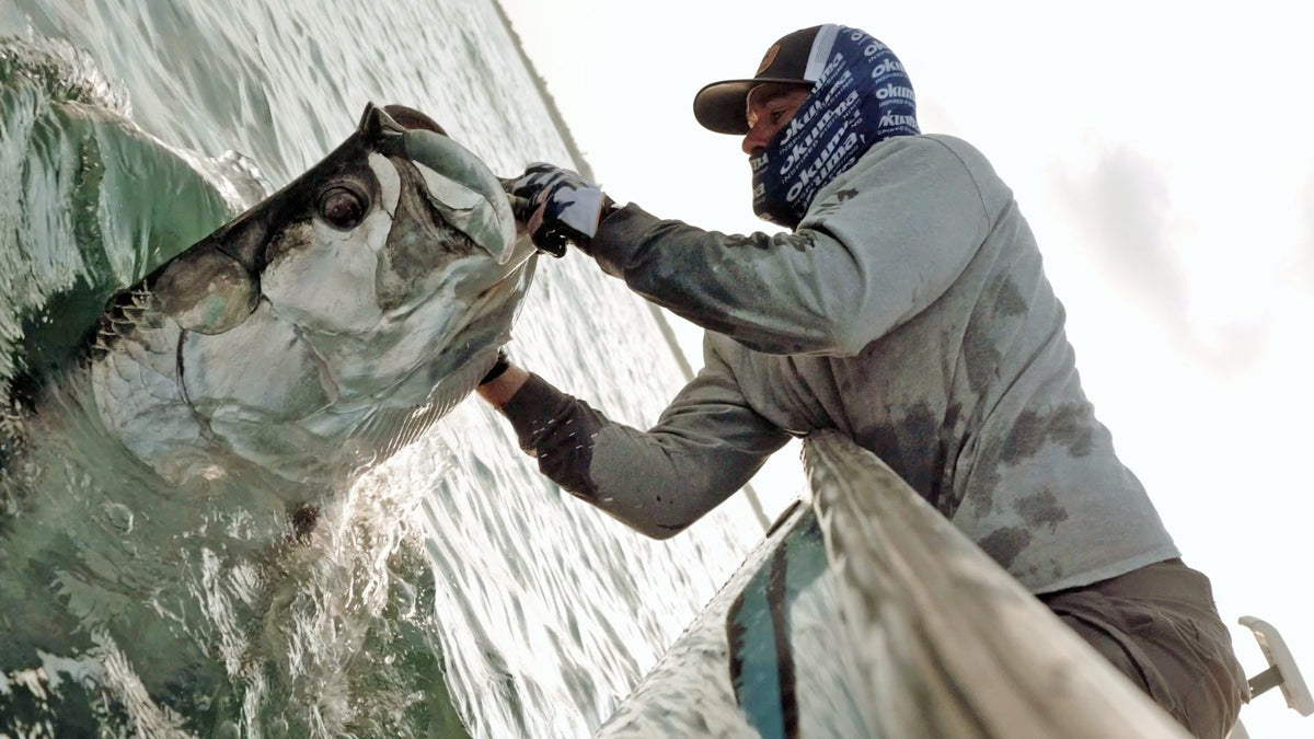 The Florida Mullet Run: Nature’s Saltwater Spectacle - FishLab