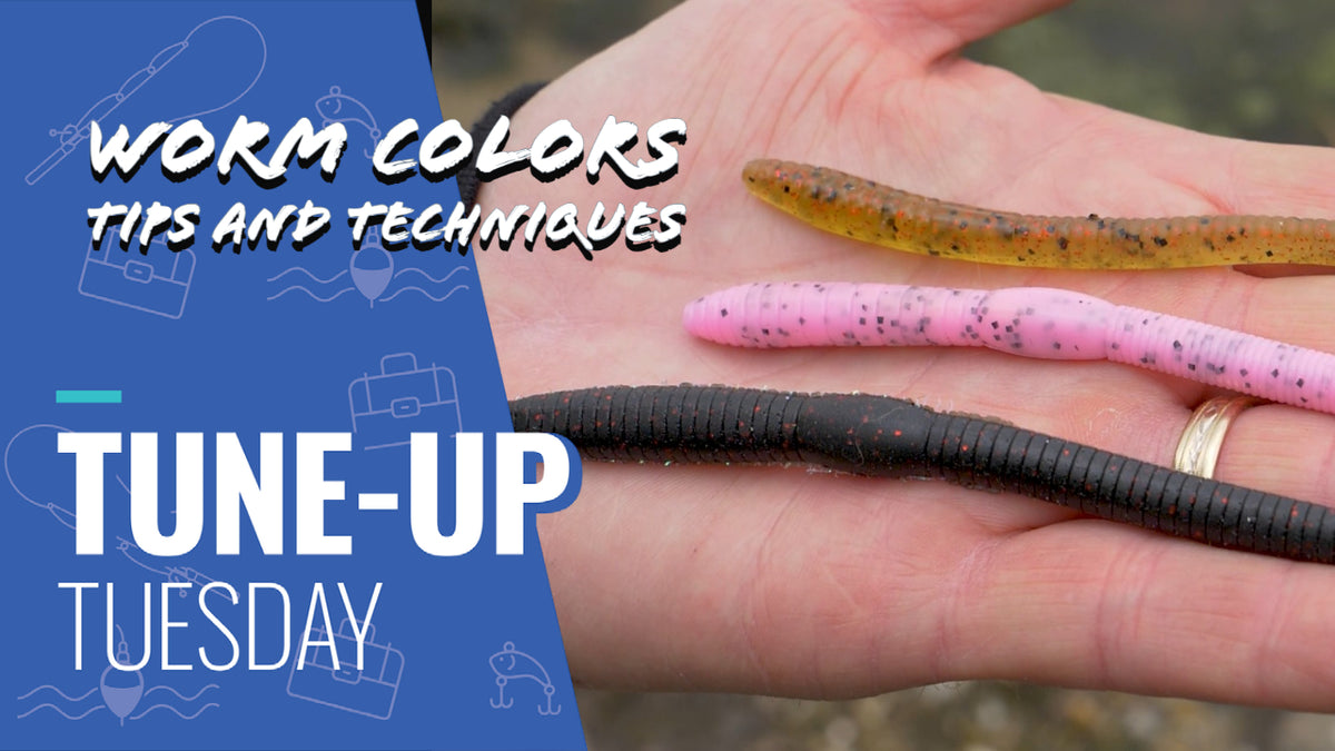 Tune-Up Tuesday | Color Selection for Worms - Okuma Fishing Tackle Corp