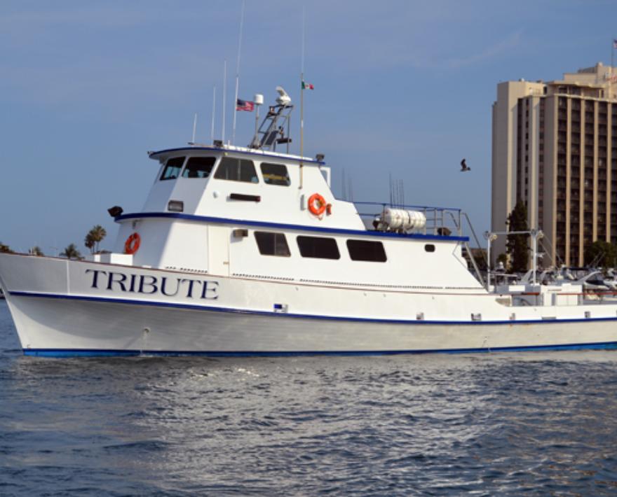 Okuma Sponsored 2 Day Trip aboard Tribute Sportfishing - Okuma Fishing Tackle Corp