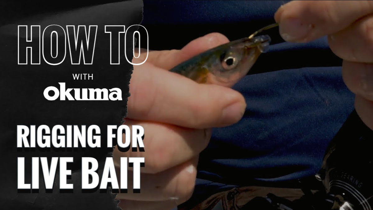 Okuma How-To | Getting Rigged up with Live Bait - Okuma Fishing Tackle Corp