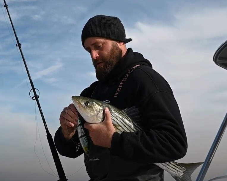 North East Striper Fishing - FishLab
