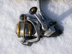 Avenger ABF Reels _ Avenger_BF-800-01png