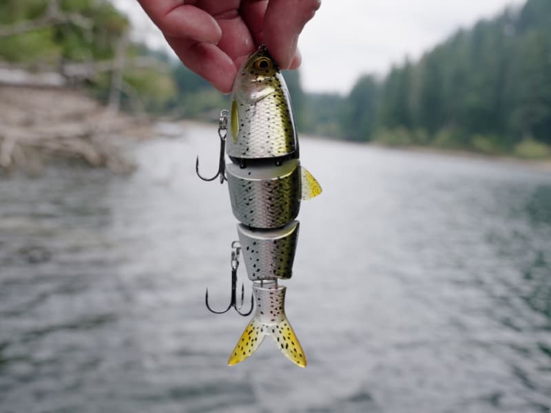 BBZ Hard Swimbait HS-6-SM