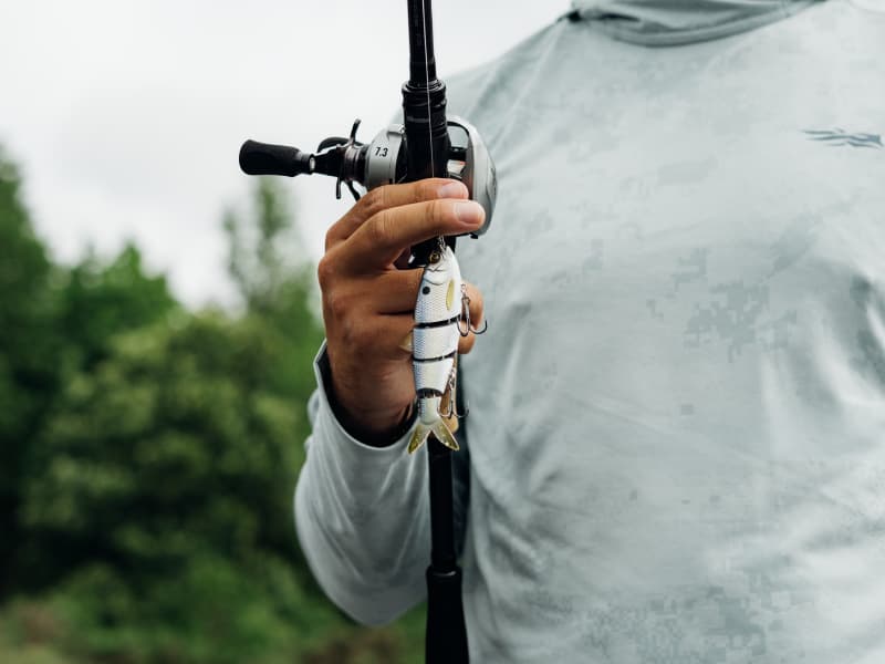 BBZ Hard Swimbait | FishLab