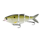 BBZ Bio-Shad Gizzard _ BGS-6-TS.02.01