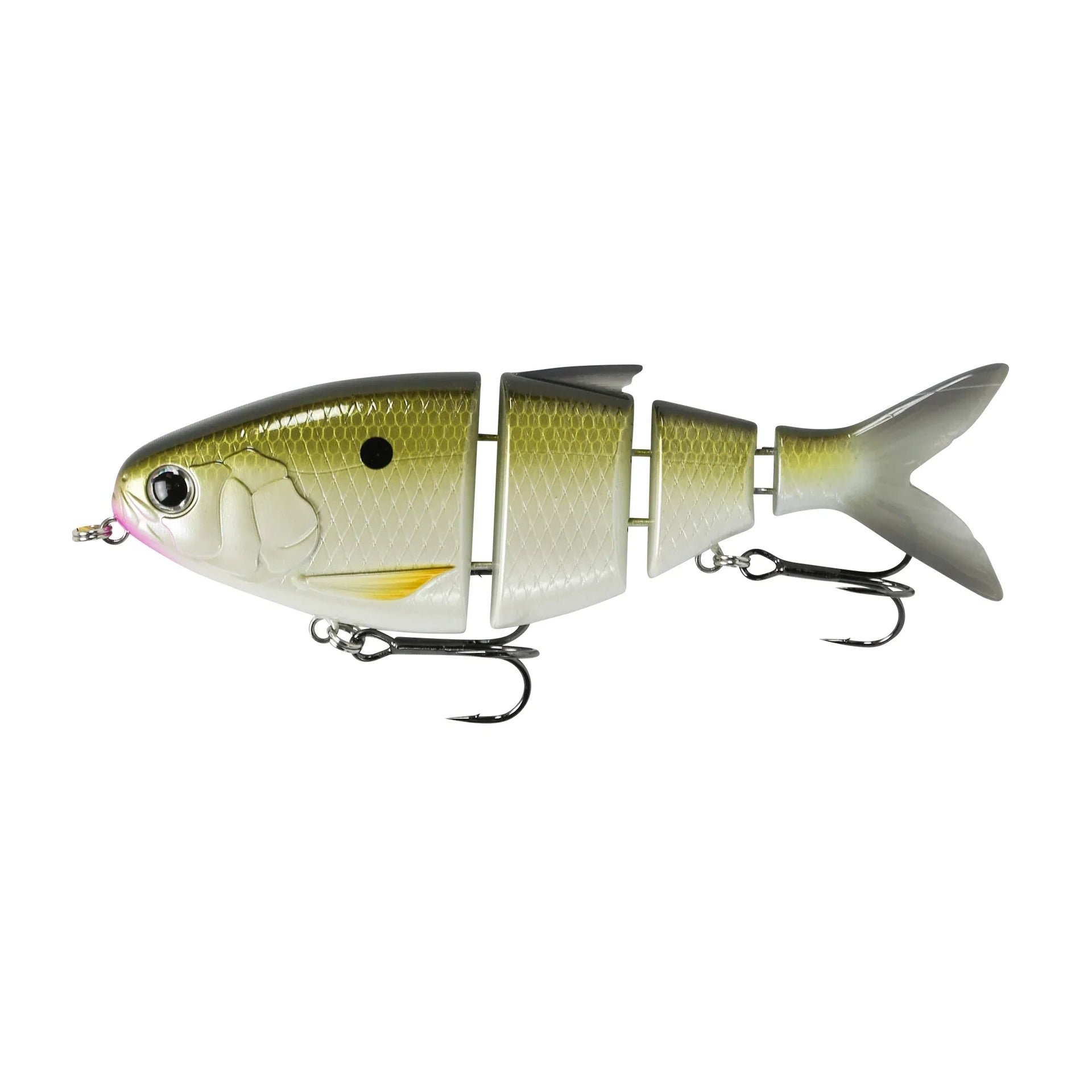 BBZ Bio-Shad Gizzard