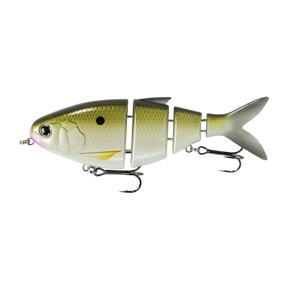 BBZ Bio-Shad Gizzard _ BGS-6-TS.02.01