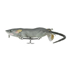 BBZ Bio-Rat _ BR-7-G.01.01_c6431493-8a49-4db8-bcf8-379fb9ba7fdb