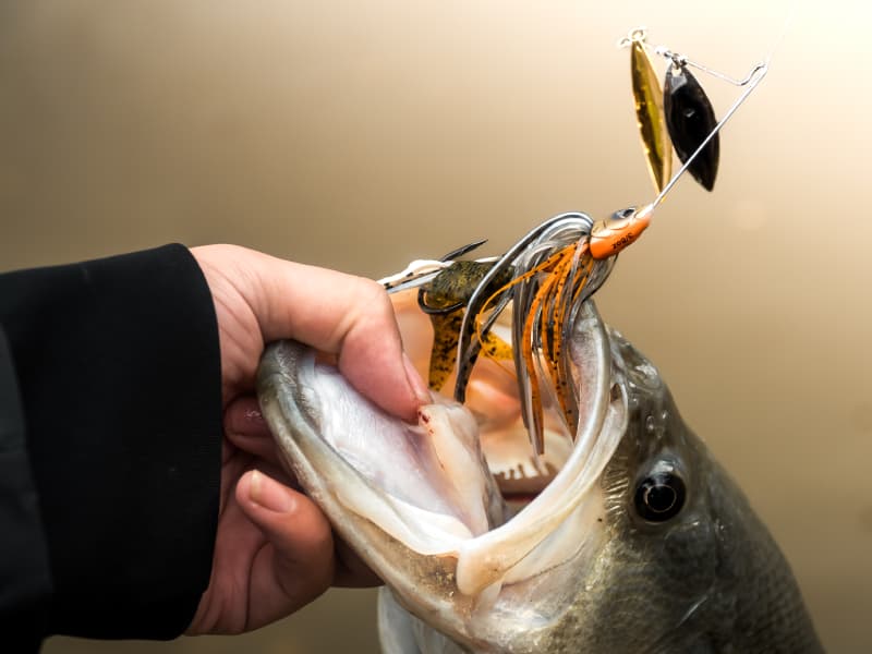 Bio-Blade Willow Spinnerbait