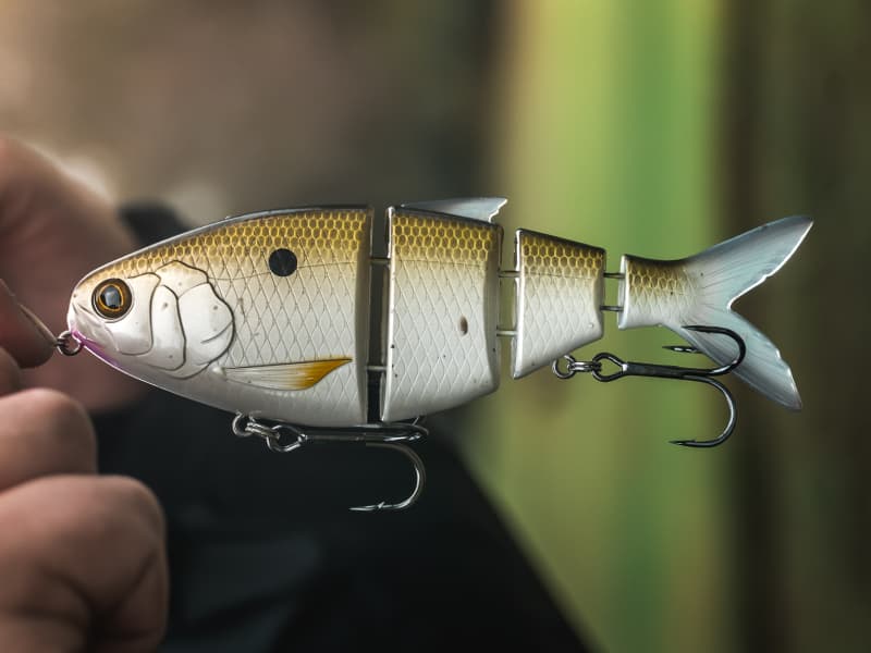 BBZ Bio-Shad Gizzard _ Bio-Gizzard-800-01