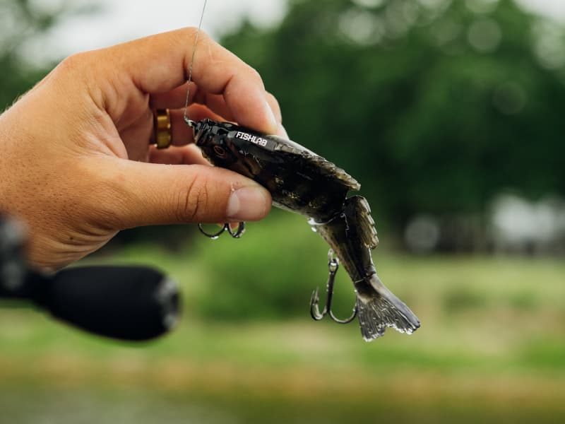 Bio-Gill Swimbait Pro _ Bio_Gil_Pro-800-02