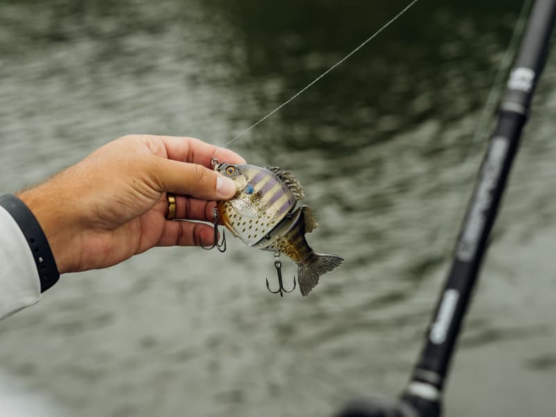 Bio-Gill Swimbait Pro