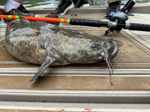 Cat Slayer Catfish Rods _ Cat_Slayer-800-02