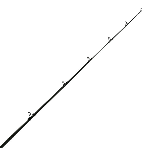EVx B-Series Musky Rods _ EVx_MuskyRodTip.01Large