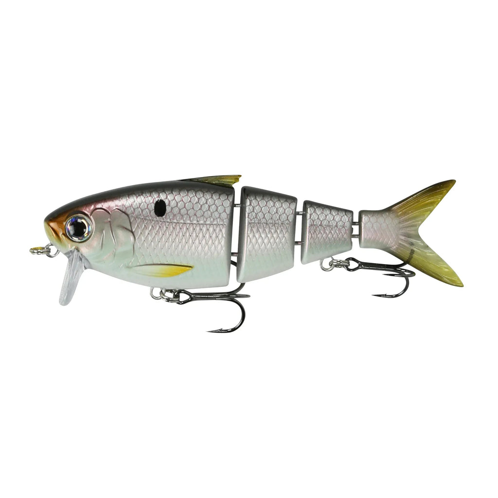 BBZ Bio-Shad Crankbait _ FCS-4-TF.02.01